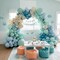 163PCS Under The Sea Balloon Garland Arch Kit, Ocean Theme Party Decorations, Blue Green Sand White Balloon Arch, Baby Shower Birthday Underwater Party Supplies
